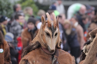 Chanderner Geisse - Rümmingen _c034274.jpg