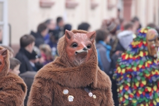 Rötelstei Fuchs-Clique Grenzach - Binzen _c032443.jpg